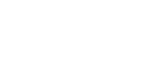 dbu international logo