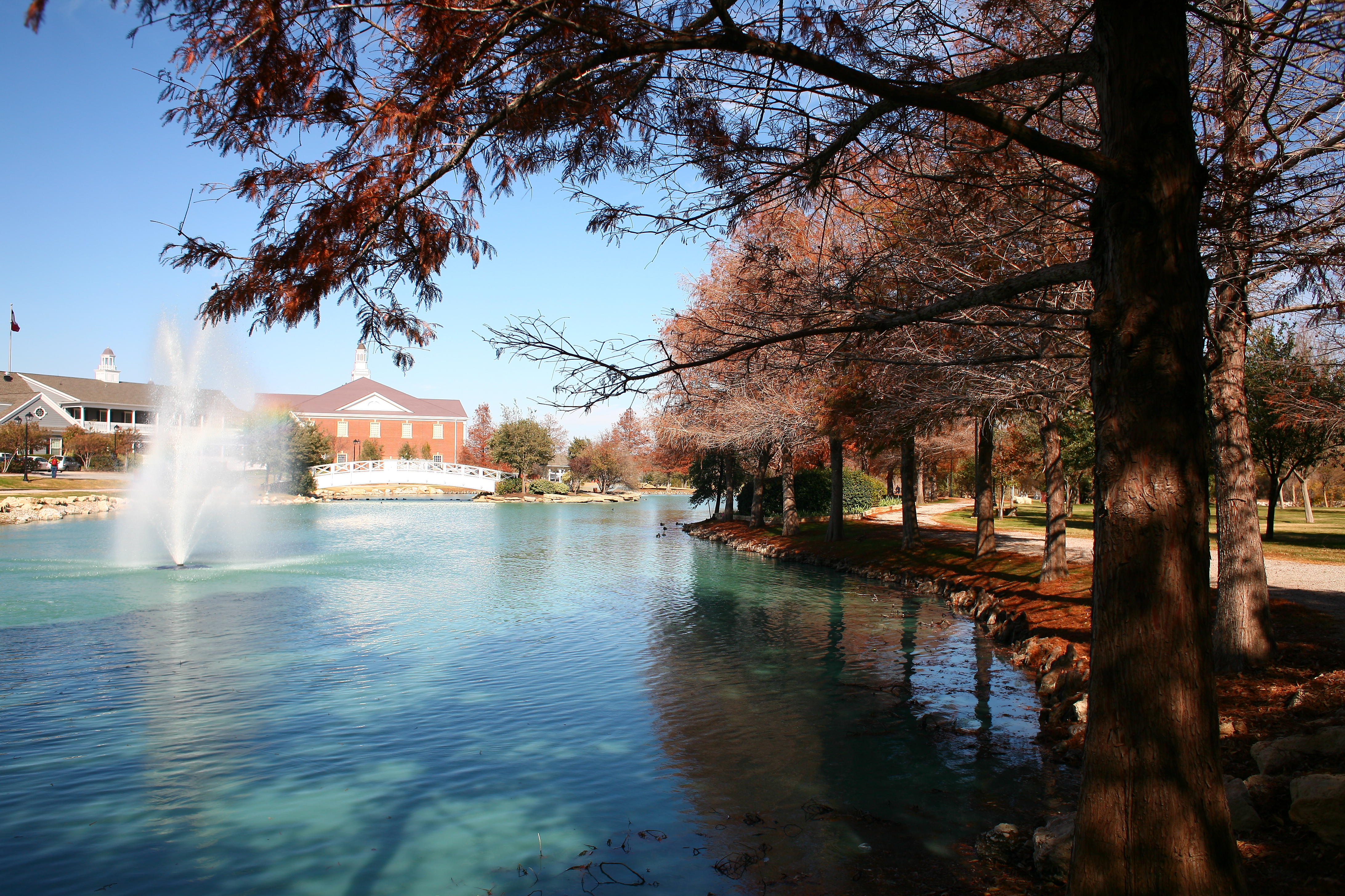 picture of Bush Pond 