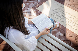 woman sitting on a park bench reading the Bible