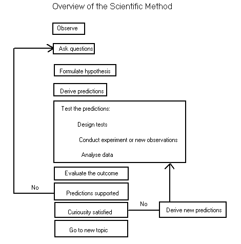 picture of a graph explaining the scientific method