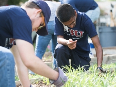 student's serving