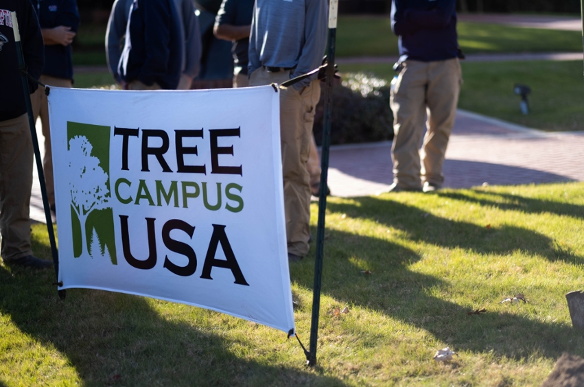 Tree Campus USA logo