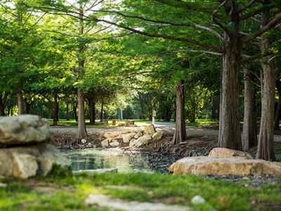 shady gravel path around the pond