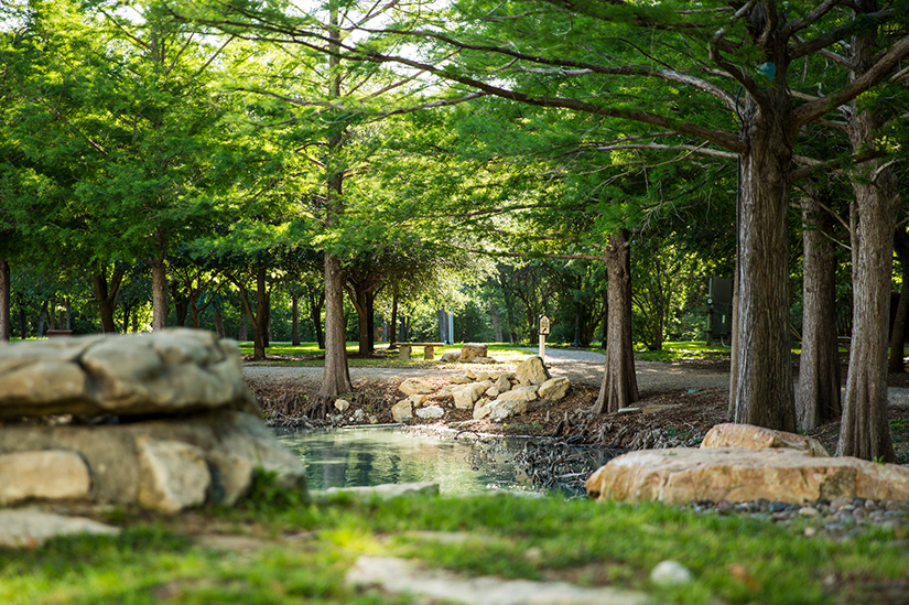 shady gravel path around the pond