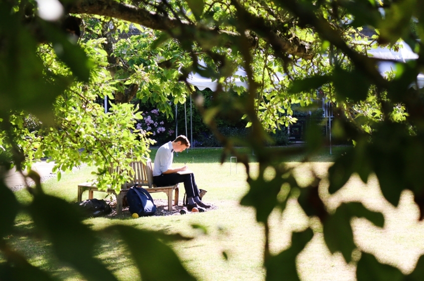 Student studying outside with trees